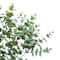 18.5" Sage Green Eucalyptus Deluxe Bush by Ashland®
